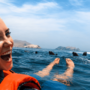 Palomino Islands Sea Lion Swimming Tour – Private Experience