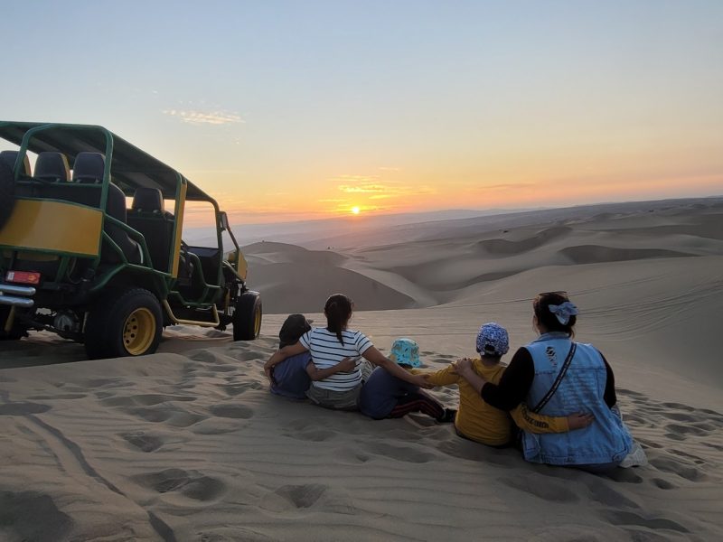 Huacachina dunes, Ica tour, Ballestas Islands, Paracas Reserve, oasis in Peru