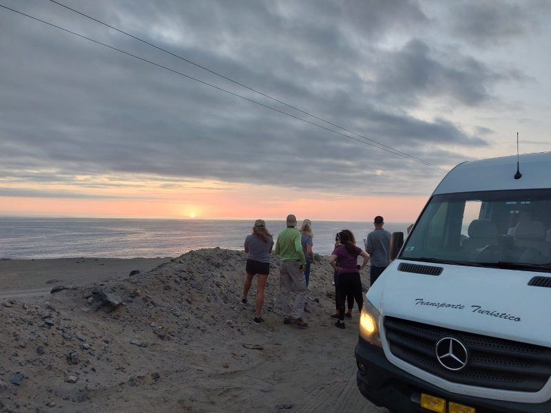 Huacachina dunes, Ica tour, Ballestas Islands, Paracas Reserve, oasis in Peru