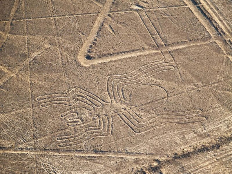 Nazca lines (1)