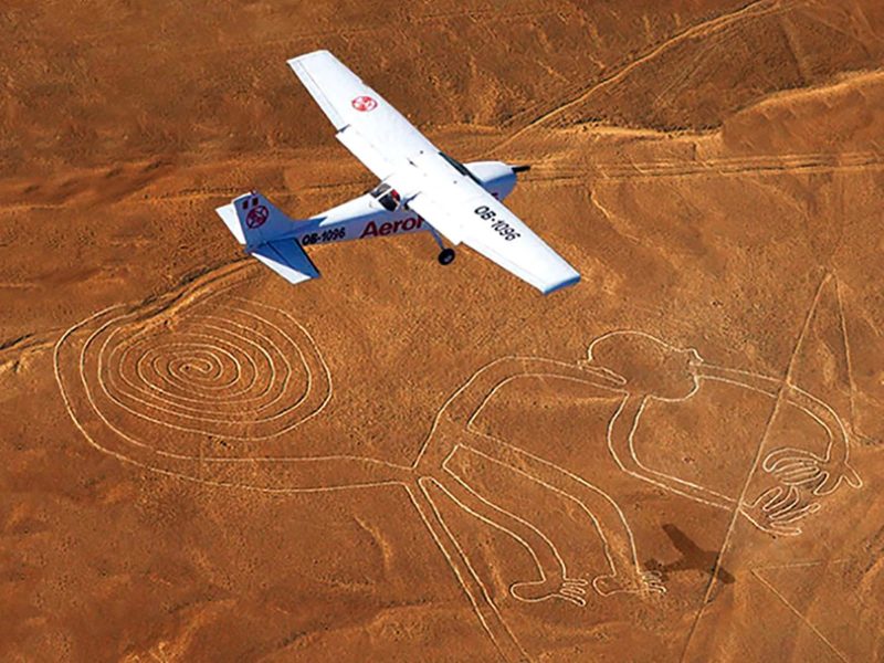 Nazca lines (2)