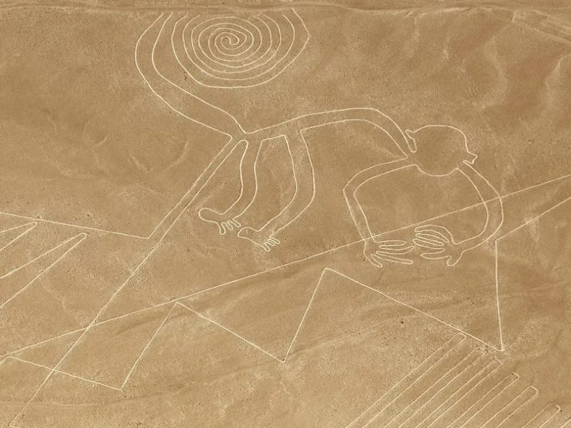 Nazca lines (3)