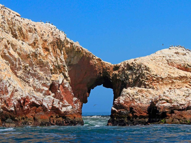 ballestas